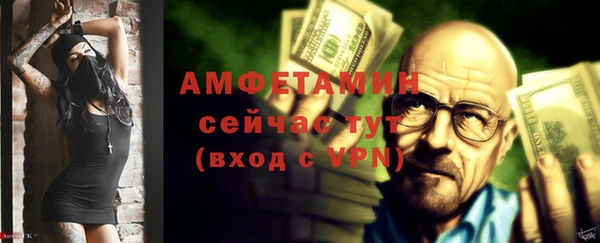 прущие грибы Новозыбков