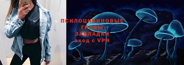 соль ск Алексеевка