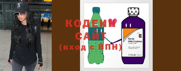 прущие грибы Новозыбков