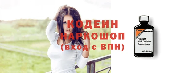 прущие грибы Новозыбков