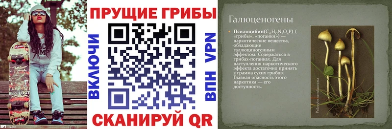 Галлюциногенные грибы мухоморы  Агрыз 